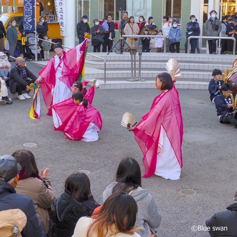 Ms. Merci's Diary｜（785） Lion dance performance｜NOVEL DAYS