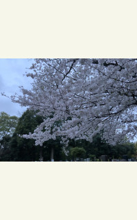 作品を探す｜NOVEL DAYS
