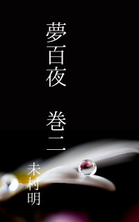 ランキング Novel Days